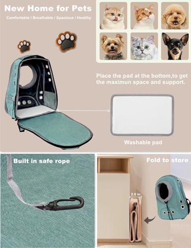 Small Dog Cat Chest Backpack Carrier,Large Space Ventilated Front Facing Backpack Carrier for Puppy,Lightweight Doggy Backpack for Hiking,Camping,Travel,Outdoor,Max 12 lbs(Cyan) - color: Cyan