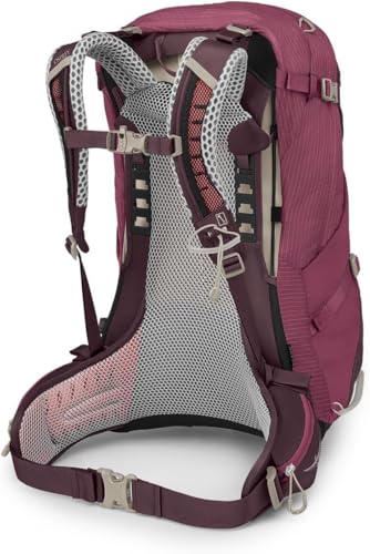 Osprey Sirrus 34L Women's Hiking Backpack, Elderberry Purple/Chiru Tan - color: Elderberry Purple/Chiru Tan, size: 34L