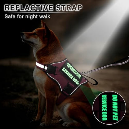 Service Dog Vest Harness and Leash Set+10 Patches,No Pull&Easy Walk Reflective Dog Harness with Soft Padded Handle for Training/Everyday,Fit Small/Medium/Large/Extra-Large Dogs(Pink S) - color: Pink, size: Small