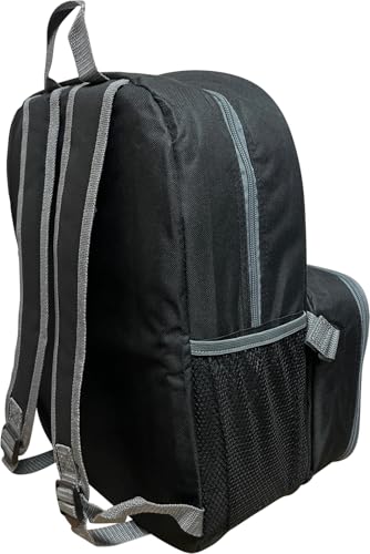 Ruz Sonic the Hedgehog 16 Inch Backpack with Detachable Matching Lunch Box, Shadow Kid's School Bag - style: Shadow