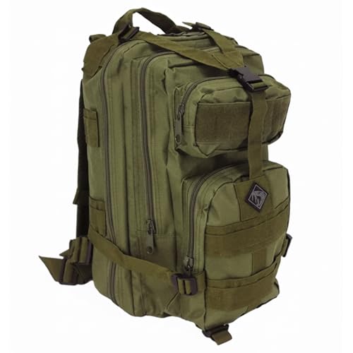 Medium Backpack with Pistol Retention System, Green, Concealed Carry Capability with MOLLE Webbing Exterior for Modular Gear Expansion - color: Green