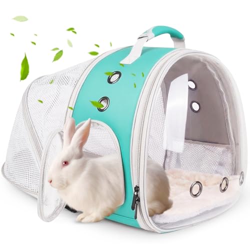 Back Expandable Backpack for Small Animals, Portable Travel Bag Breathable Pet Carrier Cages for Bunny, Guinea Pig, Bearded Dragon, Lizard, Rabbit, Squirrel, Tortoise, Kitten, Sugar Glider - color: Green