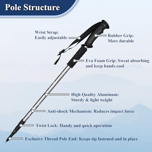 TheFitLife Nordic Walking Trekking Poles - 2 Sticks with Anti-Shock and Quick Lock System, Telescopic, Collapsible, Ultralight for Hiking, Camping, Mountaining, Backpacking, Walking, Trekking - color: Silver