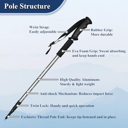 TheFitLife Nordic Walking Trekking Poles - 2 Sticks with Anti-Shock and Quick Lock System, Telescopic, Collapsible, Ultralight for Hiking, Camping, Mountaining, Backpacking, Walking, Trekking - color: Silver
