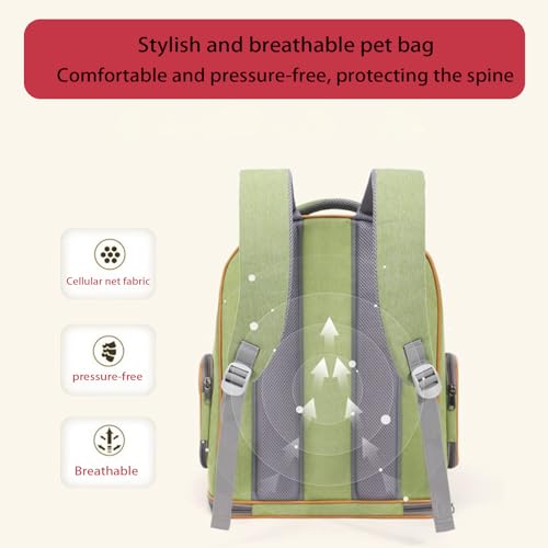 Cat Backpack Carrier, Breathable Cat Carrier Large Space Bubble Pet Backpack for Small Dog and Large cat up to 18lbs, Transparent & Foldable Pet Carrier for Travel Hiking (Green) - color: Green