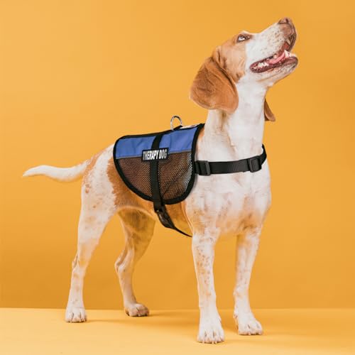 Dogline MaxAire Multi-Purpose Mesh Vest for Dogs and 2 Removable Therapy Dog Patches, Small, Blue - color: Blue, size: Girth 13 by 16"