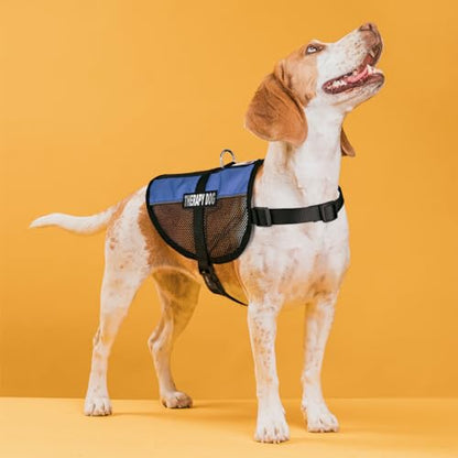 Dogline MaxAire Multi-Purpose Mesh Vest for Dogs and 2 Removable Therapy Dog Patches, Small, Blue - color: Blue, size: Girth 13 by 16"
