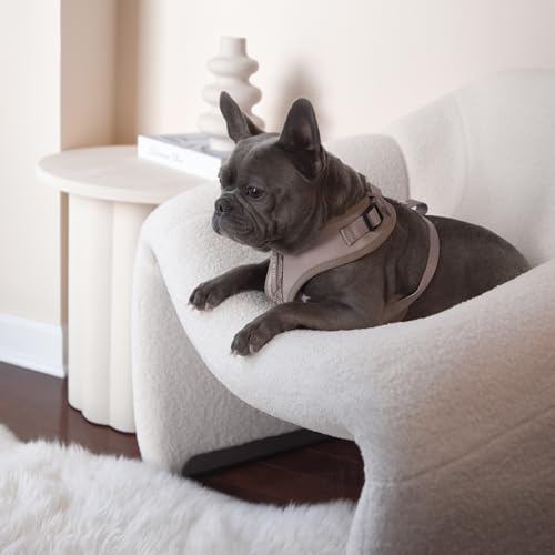 Premium No-Pull Dog Harness Soft Neoprene & Breathable Mesh Vest with Front & Back Clip D-Rings Adjustable Lightweight Walking Harness for Puppies, Small & Medium Dogs (Brown Taupe Snake, S) - color: Brown Taupe Snake, size: S: Neck=13.8-17.3''/Chest=16.1