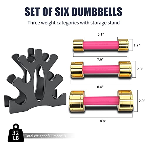 TECHNOAGE Round Dumbbell Sets with Steel Handle, Odorless Neoprene rubber Handle Cover - color: Rose