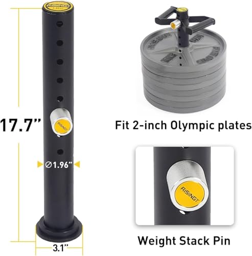 Adjustable kettlebell Handle, Heavy Duty Kettlebell Handle for Plates, Loading Pin with D-bar, Double D-bar and T-bar for Olympic Weight Plates, Hold Up 200lbs. - color: Extra D-bar