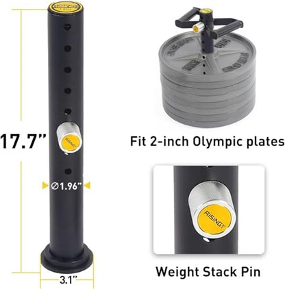 Adjustable kettlebell Handle, Heavy Duty Kettlebell Handle for Plates, Loading Pin with D-bar, Double D-bar and T-bar for Olympic Weight Plates, Hold Up 200lbs. - color: Extra D-bar