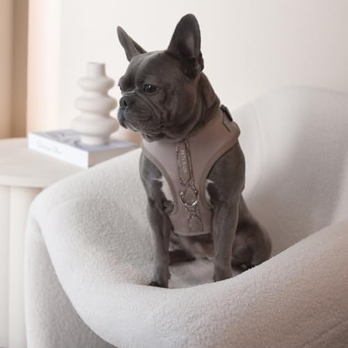 Premium No-Pull Dog Harness Soft Neoprene & Breathable Mesh Vest with Front & Back Clip D-Rings Adjustable Lightweight Walking Harness for Puppies, Small & Medium Dogs (Brown Taupe Snake, XS) - color: Brown Taupe Snake, size: XS: Neck 10.6-14.2'', Chest 1