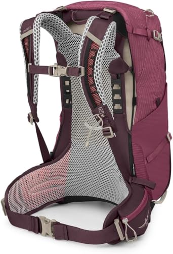 Osprey Sirrus 24L Women's Hiking Backpack, Elderberry Purple/Chiru Tan - color: Elderberry Purple/Chiru Tan, size: 24L