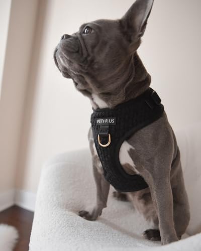 Premium No-Pull Dog Harness Soft Neoprene & Breathable Mesh Vest with Front & Back Clip D-Rings Adjustable Lightweight Walking Harness for Puppies, Small & Medium Dogs (Black Boucle, S) - color: Black Boucle, size: S: Neck=13.8-17.3''/Chest=16.1-21.3''
