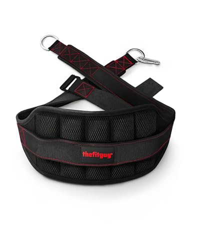 THEFITGUY Ultimate Belt for Belt Squats, Rack Attachment and Squat Machine, Structured Back Support, Stays Low During Down Movement, Padded Hip & Thigh Area, Buckle Strap - No Sliding Down, Heavy Duty