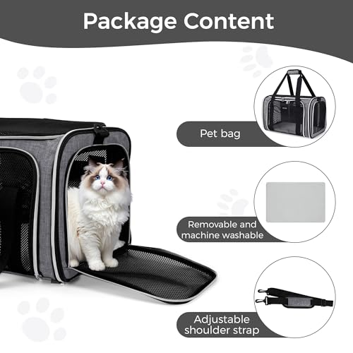 BAGLHER Pet Travel Carrier, Cat Carriers Dog Carrier for Small Medium Cats Dogs Puppies, Airline Approved Small Dog Carrier Soft Sided, Collapsible Puppy Carrier. Grey - color: Grey, size: 17.0"L x 11.0"W x 12.0"H