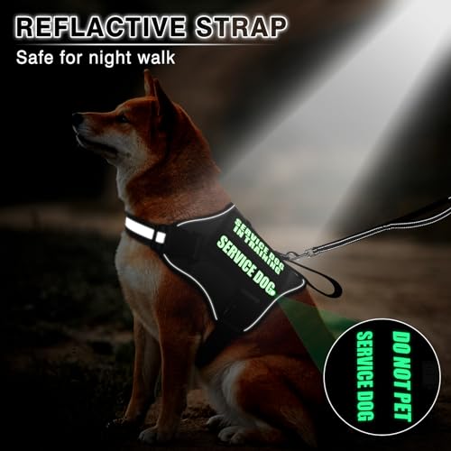 Service Dog Vest Harness and Leash Set+10 Patches,No Pull&Easy Walk Reflective Dog Harness with Soft Padded Handle for Training/Everyday,Fit Small/Medium/Large/Extra-Large Dogs(Black XL) - color: Black, size: Extra-large