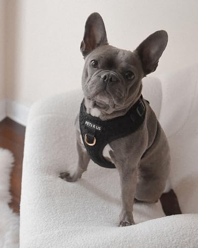 Premium No-Pull Dog Harness Soft Neoprene & Breathable Mesh Vest with Front & Back Clip D-Rings Adjustable Lightweight Walking Harness for Puppies, Small & Medium Dogs (Black Boucle, L) - color: Black Boucle, size: L: Neck=16.5-22''/Chest=22.4-32.7''