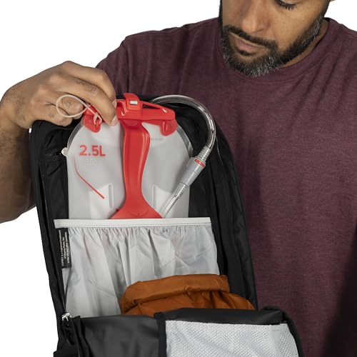 Osprey Talon 22L Men's Lightweight Hiking Backpack - Small Daypack for Travel & Camping, Phantom Grey/Dark Charcoal - color: Phantom Grey/Dark Charcoal, size: 22L - Standard Fit