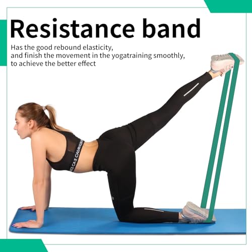 12-Pack Resistance Bands Set - Pull Up Assist, Strength Training & Physical Therapy for Home Gym | Exercise Loop Bands for Men & Women - color: Green 50-125lbs