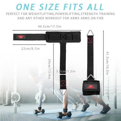 Adjustable Weightlifting Wrist & Ankle Straps with Triangle Ring for Deadlifts, Tricep Pull-Downs, Pilates, Cable Machines & Rehab – Padded Straps for Gym, Physical Therapy, and Recovery