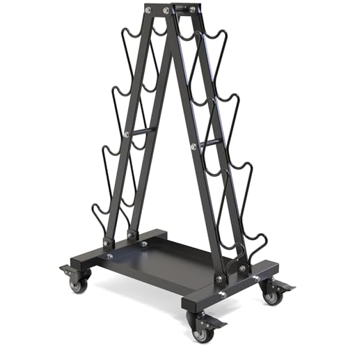 Kipika Heavy Duty 3 Tier Dumbbell Rack Multifunctional, Weight Rack for Dumbbells, Home Gym Equipment, Suitable for Storage of Dumbbell, Kettle Bell, Barbell Plate, Barbell Bar - color: 4 Tier Tilt Shelf