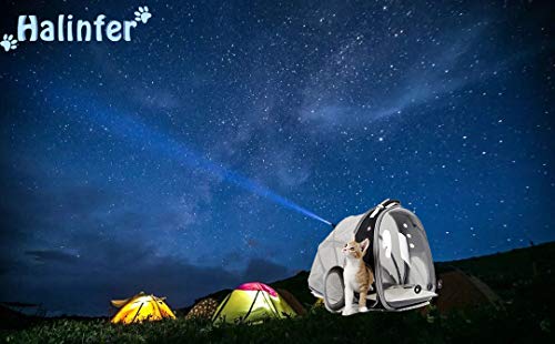 Back Extension Cat Travel Carrier Backpack (Yellow, Clear Window) - color: Yellow
