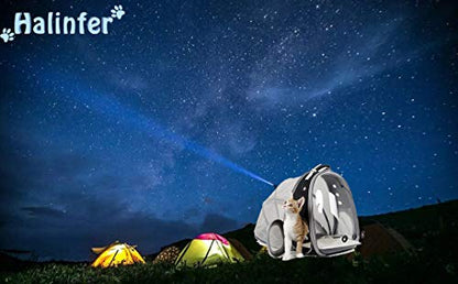 Back Extension Cat Travel Carrier Backpack (Yellow, Clear Window) - color: Yellow