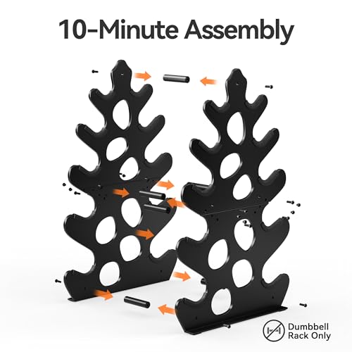 4 Tier Dumbbell Rack, Weight Rack For Home Gym, Dumbbell Stand for Free Weights - size: 5 tier (new model)