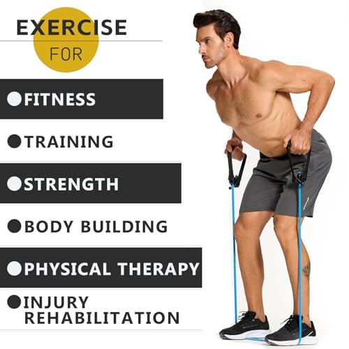 Professional Resistance Bands. Latex-Free, Work Out Bands, Stretch Bands for Working Out Women or Men, Exercise Bands Set for Physical Therapy (with Handle)