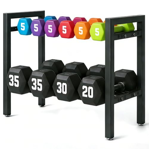 Dumbbell Storage Rack, Weight Rack for Dumbbells, 2 Tier Adjustable Kettlebell Rack Shelf Weight holder for Home Gym Heavy-Duty Space-Saving (Rack Only) - size: 20IN