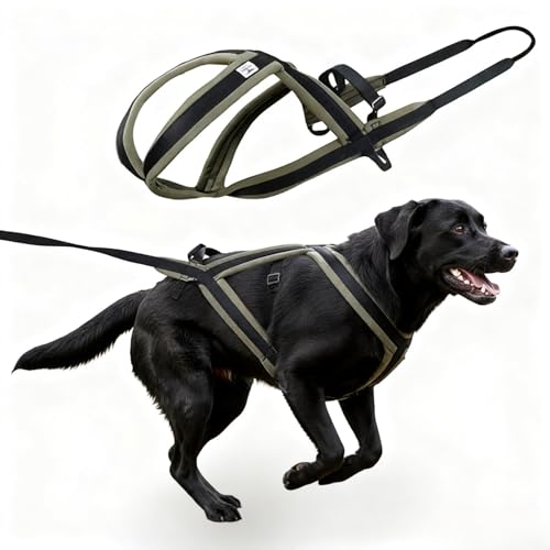Weight Pulling Dog Harness for Dogs - Dog Pulling Harness for Sled & Running Training (Forest Green,M) - size: M