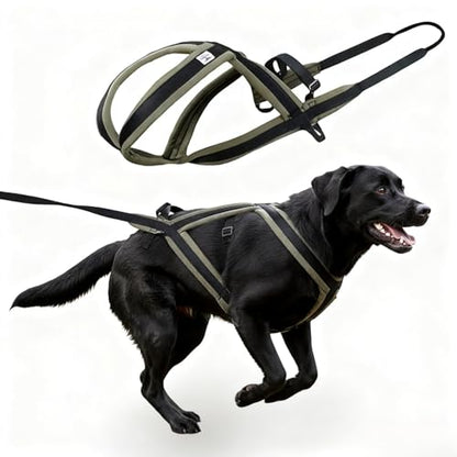Weight Pulling Dog Harness for Dogs - Dog Pulling Harness for Sled & Running Training (Forest Green,XXL) - size: XXL