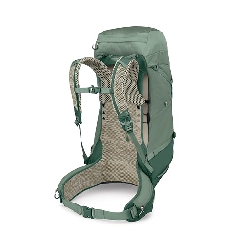 Osprey Stratos 44L Men's Hiking Backpack - Lightweight Backpacking Pack with Waterproof Raincover - Camping Bag, Pine Leaf - color: Pine Leaf, style: 44l