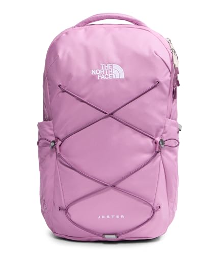 The North Face Women's Jester Everyday Laptop Backpack - Commuter Travel Bag, Laptop Sleeve, Water-Repellent, Hushed Lavender/Chroma Purple, One Size - color: Hushed Lavender/Chroma Purple