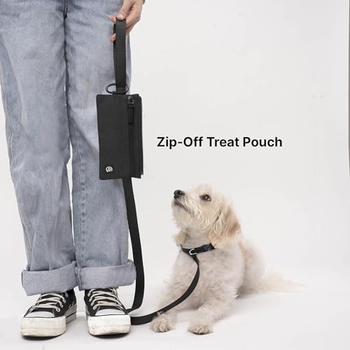 Cleverpup Porter 2-in-1 Dog Gear Backpack – Premium Dog Travel Bag with 10 Pockets, Zip-Off Treat Pouch, Leash Clip, Waterproof Pockets & Water Bottle Holder – Weekend, Hiking, Camping, Graphite - color: Graphite