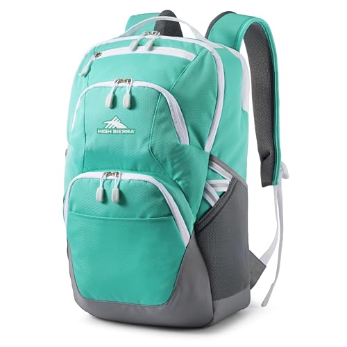 High Sierra Swoop SG Backpack, Travel or Work Laptop Bookbag with Drop Protection Pocket, and Tablet Sleeve, One Size, Aquamarine - color: Aquamarine