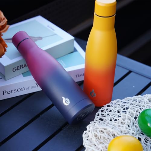 BJPKPK 25 oz Insulated Stainless Steel Water Bottle, Metal Sports Flask - color: Laguna, size: 25 Ounces