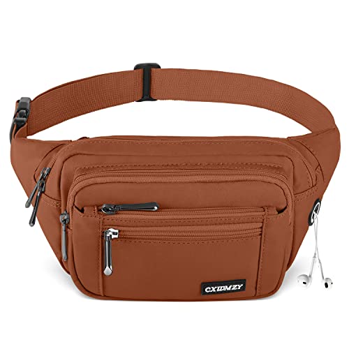 CXWMZY Fanny Packs For Women & Men Waist Pack Hip Bum Bag with Multi-Pockets Large Capacity Waterproof Casual Bum Bag for Disney Traveling Casual Cycling Running Hiking (Brown1) - color: Brown1