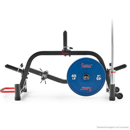 Sunny Health & Fitness Multi-Weight Storage Rack Stand for Dumbbells, Kettlebells, Olympic Weight Plates, Barbell, Medicine Ball - style: Plate & Barbell Rack