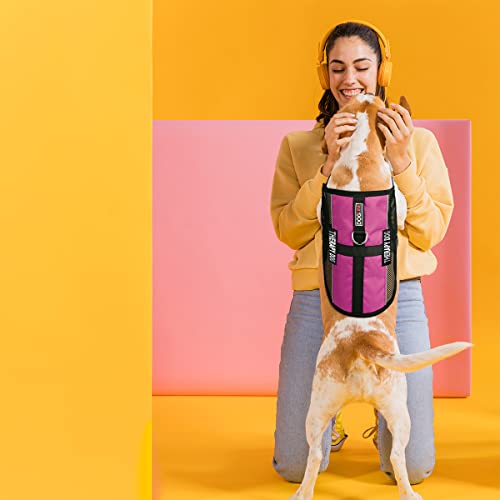 Dogline MaxAire Multi-Purpose Mesh Vest for Dogs and 2 Removable Therapy Dog Patches, Small, Pink - color: Pink, size: Girth 13 by 16"