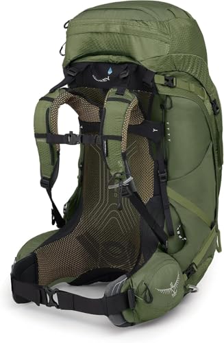 Osprey Atmos AG 65L Men's Backpacking Backpack, Mythical Green, L/XL - color: Mythical Green, size: Large-X-Large
