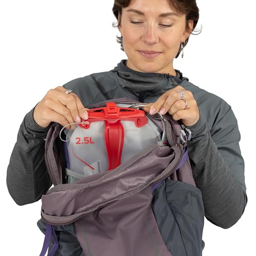 Osprey Hikelite 28L Durable Hiking Backpack - Travel Daypack with Rain Cover for Men and Women, Graphite Purple - color: Graphite Purple, style: 28l