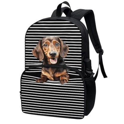 Talayituse Dachshund Stripe Print Bookbag Backpack for Kids Boys Girls Large Capacity Casual School Bags with Bottle Holder Pocket and Adjustable Strap 17 Inch Travel Daypack Back To School Bookbag - color: Dachshund Stripe
