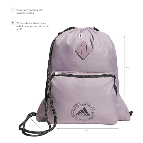 Classic 3S 2.0 Sackpack - color: Preloved Fig Purple/Black