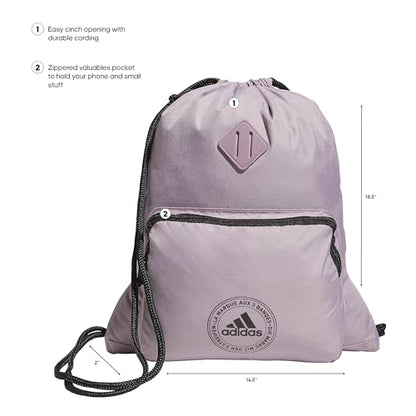 Classic 3S 2.0 Sackpack - color: Preloved Fig Purple/Black