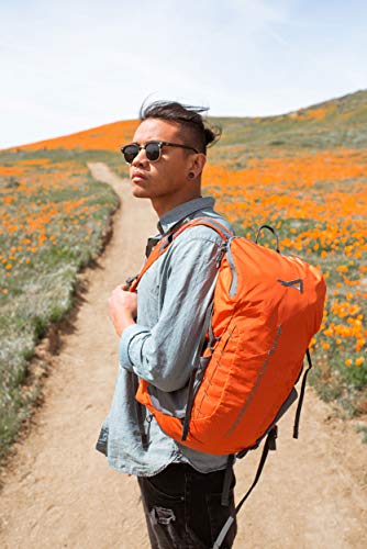 ALPS Mountaineering Canyon 20L Backpack - Chili/Gray