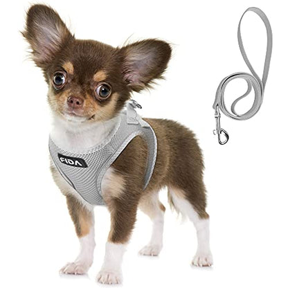 Fida Comfy Dog Harness with Leash, Soft Puppy Vest Escape Proof, Breathable Lightweight Soft Mesh, Adjustable Reflective Step-in Harness for Small Pets Walking (Small, Grey) - color: Light Gray, size: S (Neck:12.6"-13.8"; Girth:16.1"-17.7")