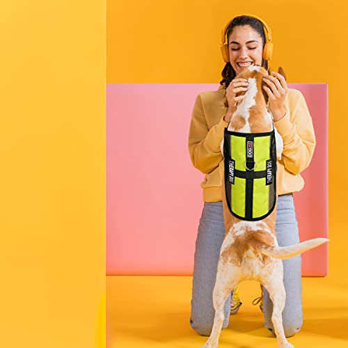 Dogline MaxAire Multi-Purpose Mesh Vest for Dogs and 2 Removable Therapy Dog Patches, Medium, Green - color: Green, size: Girth 17 by 21"