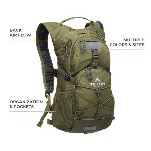Teton Oasis/Trailrunner Hydration Backpack – Lightweight Water Pack with 2L/3L Bladder for Hiking, Running, Cycling, Biking 18L/22L Sizes – Sewn-in Rain Cover – Fits Men and Women - color: Plum, size: 18 Liters